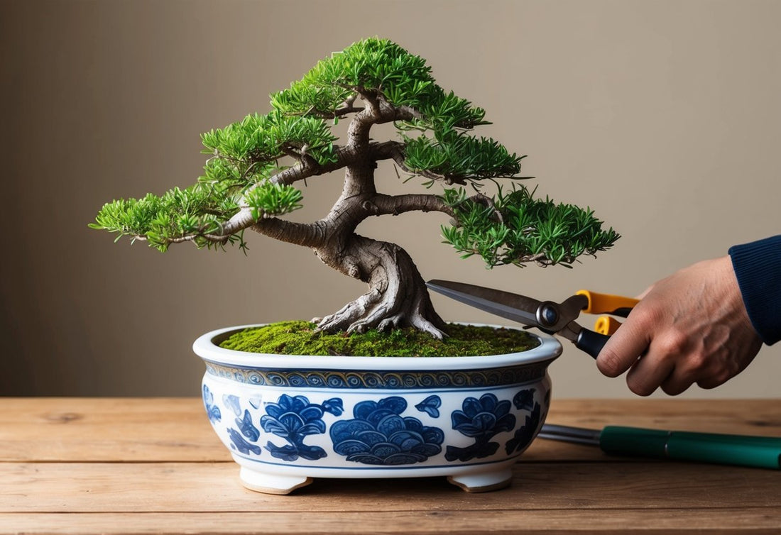 Hoe kweek je een Bonsai in een pot? Een eenvoudige gids voor beginners