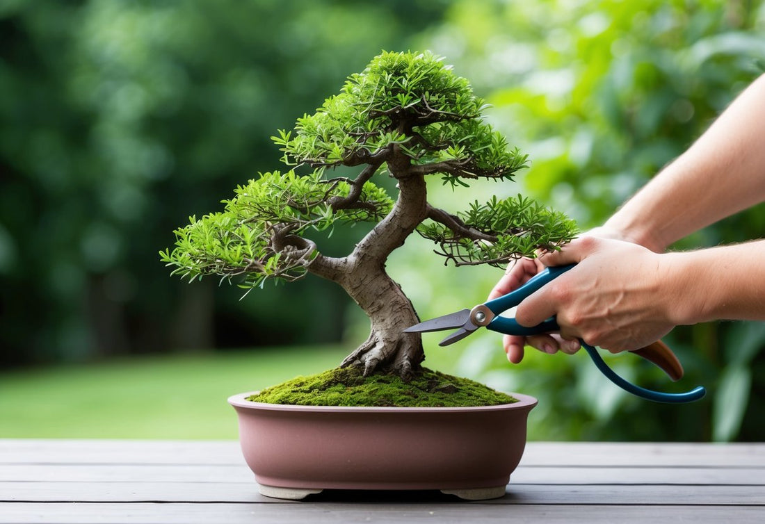 Hoe maak je een Bonsai Bonsai groot? Tips voor een gezonde groei en verzorging