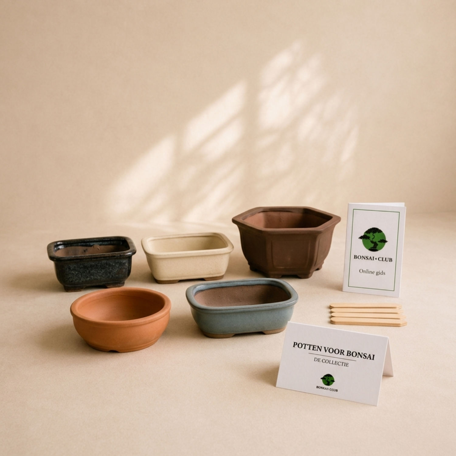 Forhandy 6 stuks bonsai-schalen, herbruikbare bonsai-potten met trays, 16,5 x 12 x 6 cm, bonsaischaal voor tuin, terras, binnenplaatsen, kantoren, woonkamer, balkons Forhandy 6 stuks bonsai-schalen, herbruikbare bonsai-potten met trays, 16,5 x 12 x 6 cm, bonsaischaal voor tuin, terras, binnenplaatsen, kantoren, woonkamer, balkons