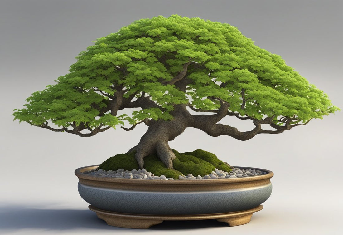 Alles over de Beuk Bonsai (Fagus sylvatica Bonsai): Een Eenvoudige Gids voor Beginners