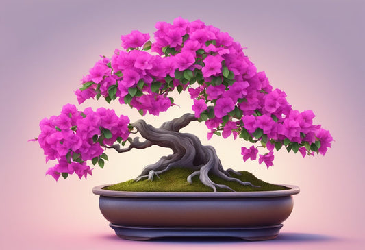 Alles over de Bougainvillea Bonsai: Een Gids voor Beginners