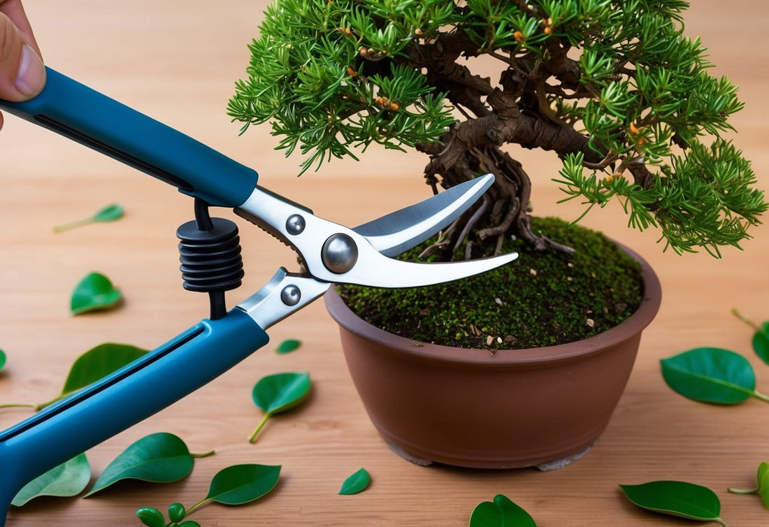 Hoe snoei je een Ficus Bonsai? Eenvoudige tips voor een gezonde boom