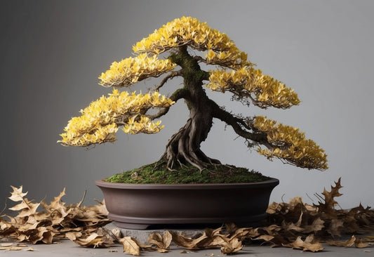 Hoe herken je een Bonsai met problemen? Tips en symptomen om op te letten