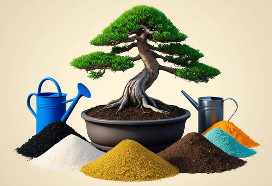 Wat zijn de beste meststoffen voor je Bonsai? Ontdek de topkeuzes voor gezonde en sterke bomen