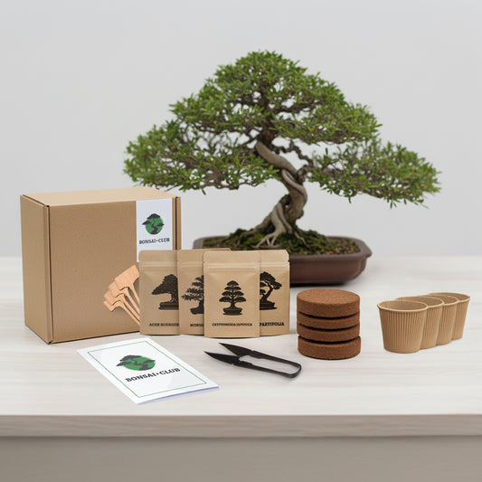Bonsai Club Starter Kit