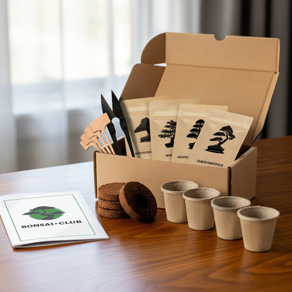 Bonsai Club Starter Kit 2