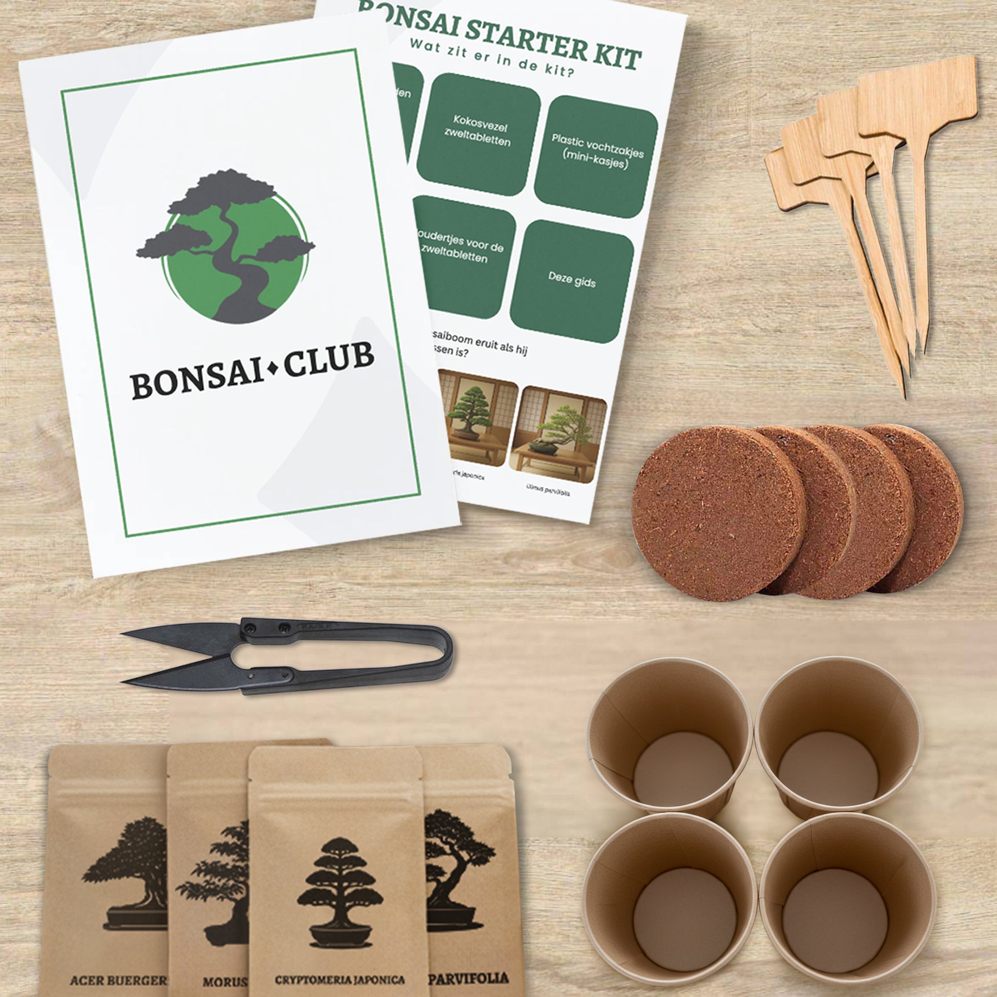 Bonsai Club Starter Kit 3