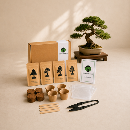 Bonsai Starter Kit van Bonsai Club